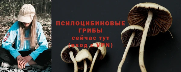 соль ск Абинск